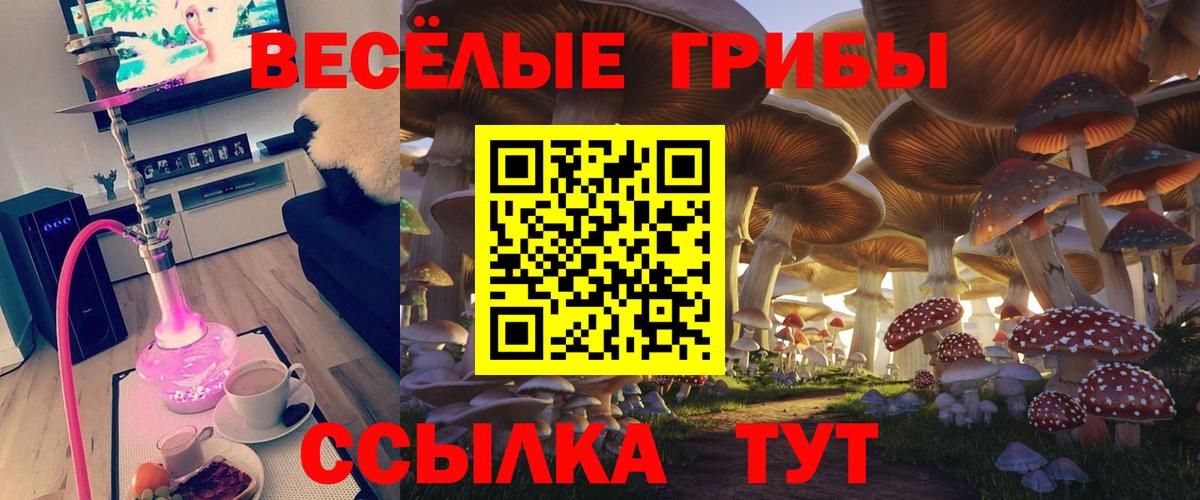 Галлюциногенные грибы Psilocybine cubensis  Вход с VPN  Котовск  Галлюциногенные грибы мухоморы 